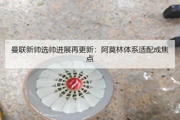 曼联新帅选帅进展再更新:阿莫林体系适配成焦点